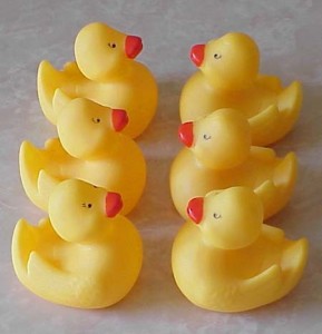 ducks in alignment